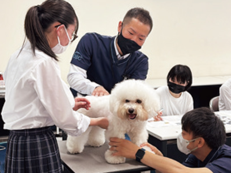 進路研究（専門学校岡山ビジネスカレッジ）